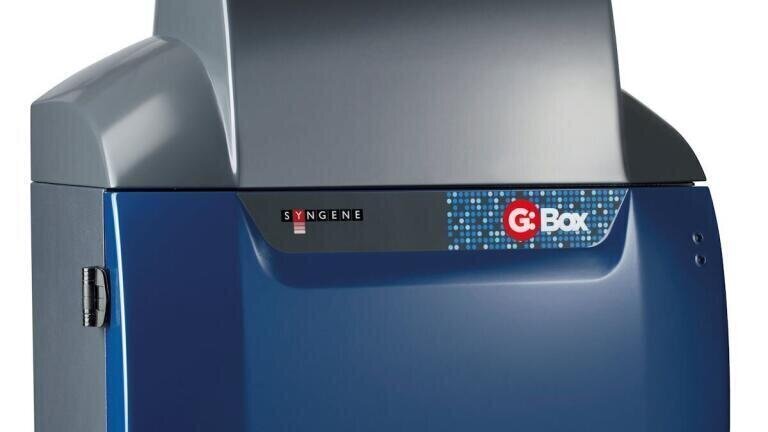 Syngene G:BOX Chemi XRQ System In Use at Top Biochemistry School